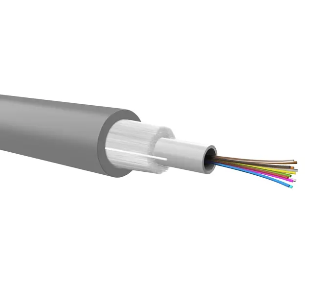 Optical loose cable to be pre-terminated, dielectric armour, 12 fibers 50/125, LSZH jacket