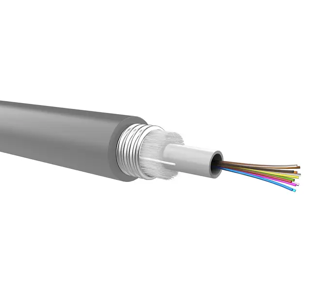 Optical loose cable to be pre-terminated, corrugated steel armour, 24 fibers 50/125, PE jacket