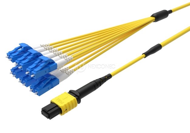 MTP&reg;/MPO TO LC/SC FANOUTS BASE-12 
