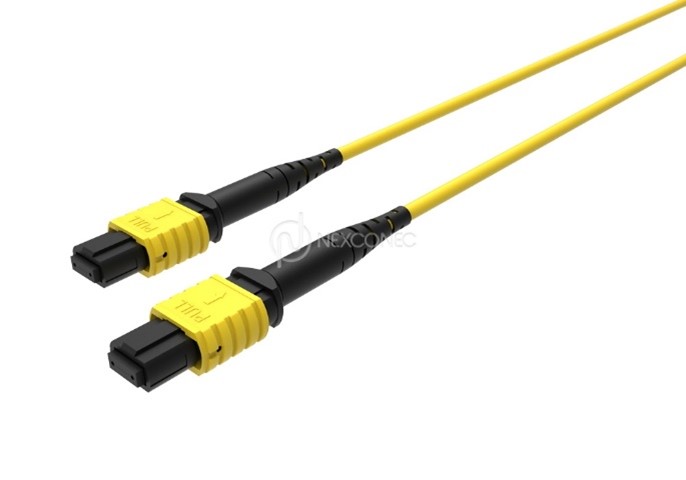 MTP&reg;/MPO TRUNKS BASE-12 