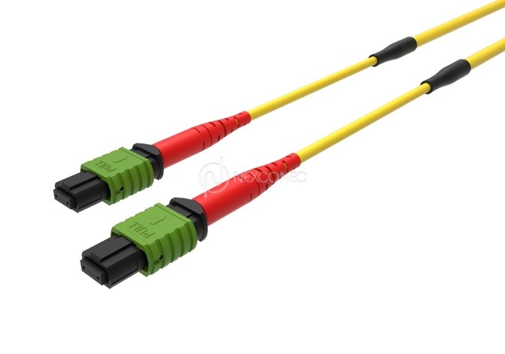 MTP&reg;/MPO TRUNKS BASE-24 