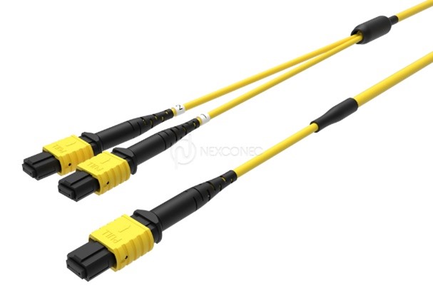 MTP&reg;/MPO TRUNKS 1X(BASE-24) TO 2X(BASE-12) 