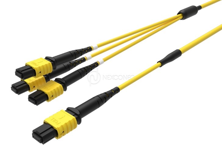 MTP&reg;/MPO TRUNKS 1X(BASE-24) TO 3X(BASE-8) 