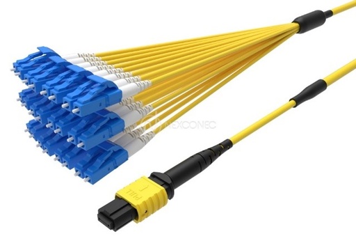MTP&reg;/MPO TO LC/SC FANOUTS BASE-24 