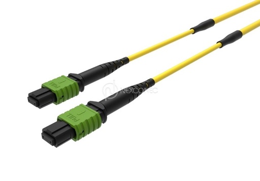 MTP&reg;/MPO QSFP 40G TRUNKS BASE-8 
