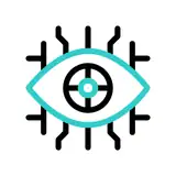 Our Vision